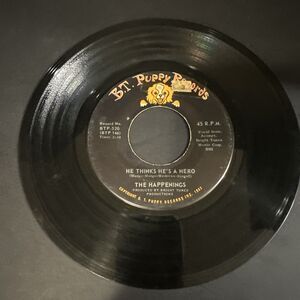 B.T. Puppy 45 The Happenings “See You In September” “He Thinks He’s A Hero”